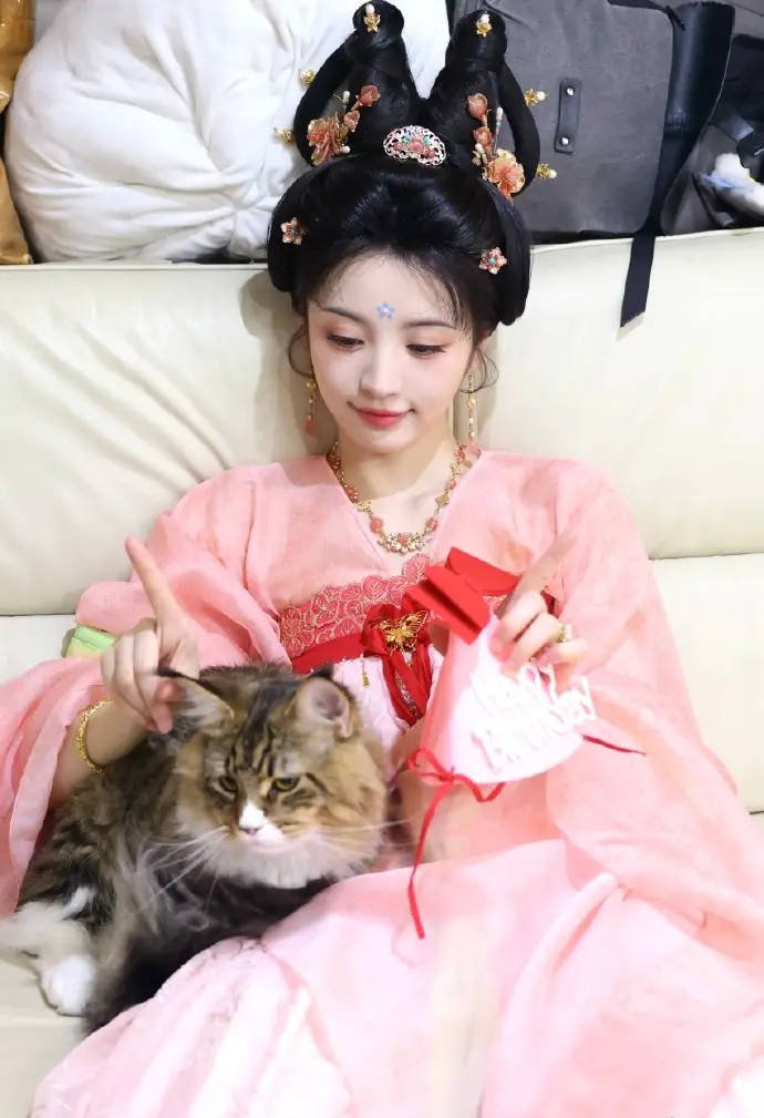汉服猫咪穿搭,汉服猫咪穿搭图片