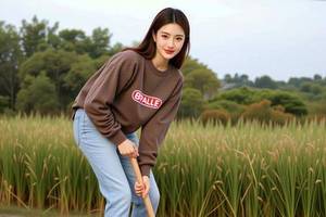 广西能源财务造假被处罚后遭索赔：两年虚增营收合计68亿元