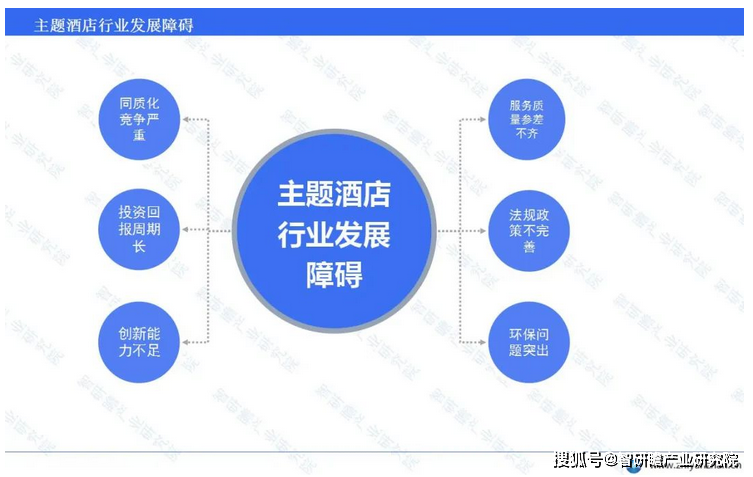 中国主题酒店行业报告：发展势头非常良好(图4)