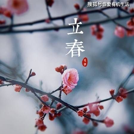 原创立春迎春打春为什么不能回娘家，打春有什么禁忌和说法