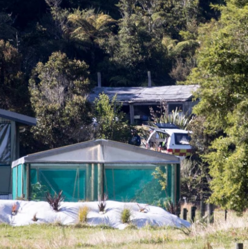 新西兰民宿失火致中国女子遇难，最新消息