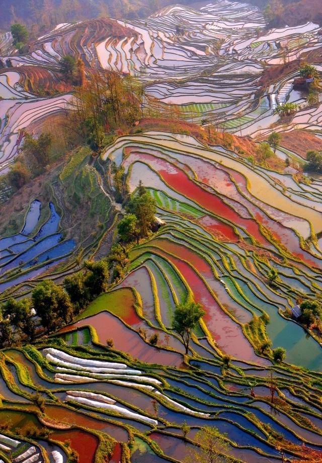 江西去云南需要准备多少钱?人均仅600!亲身经历分享!