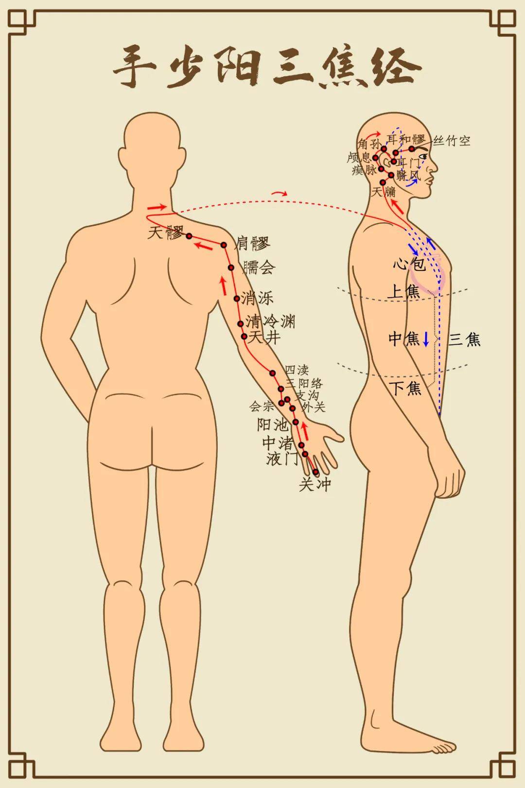 超全！“十二时辰养生法”：呵护五脏六腑的秘诀！（值得收藏）