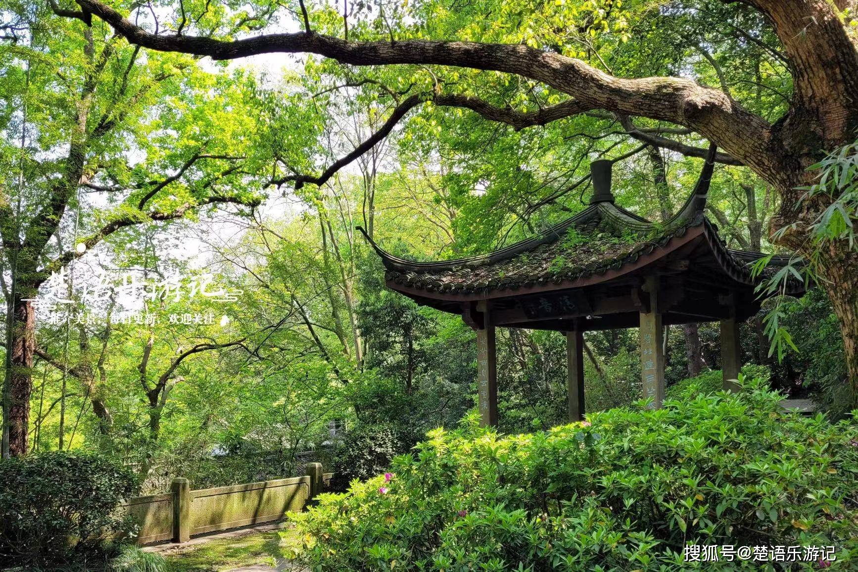 杭州虎跑公园居然是丛林秘境，风光与传说并存，美景让人流连忘返