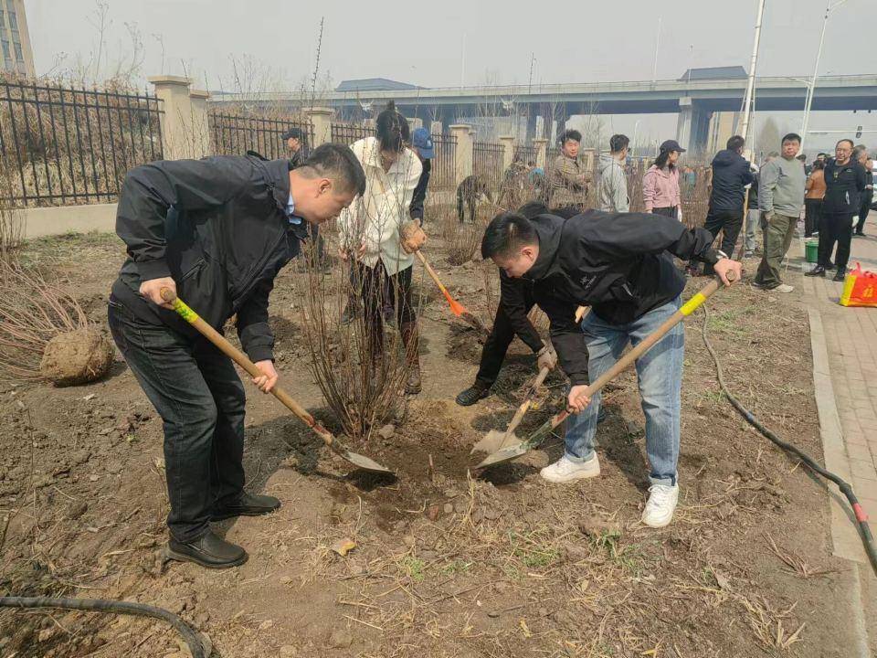 完美电竞哈尔滨市香坊区新植树木5000余株(图2)