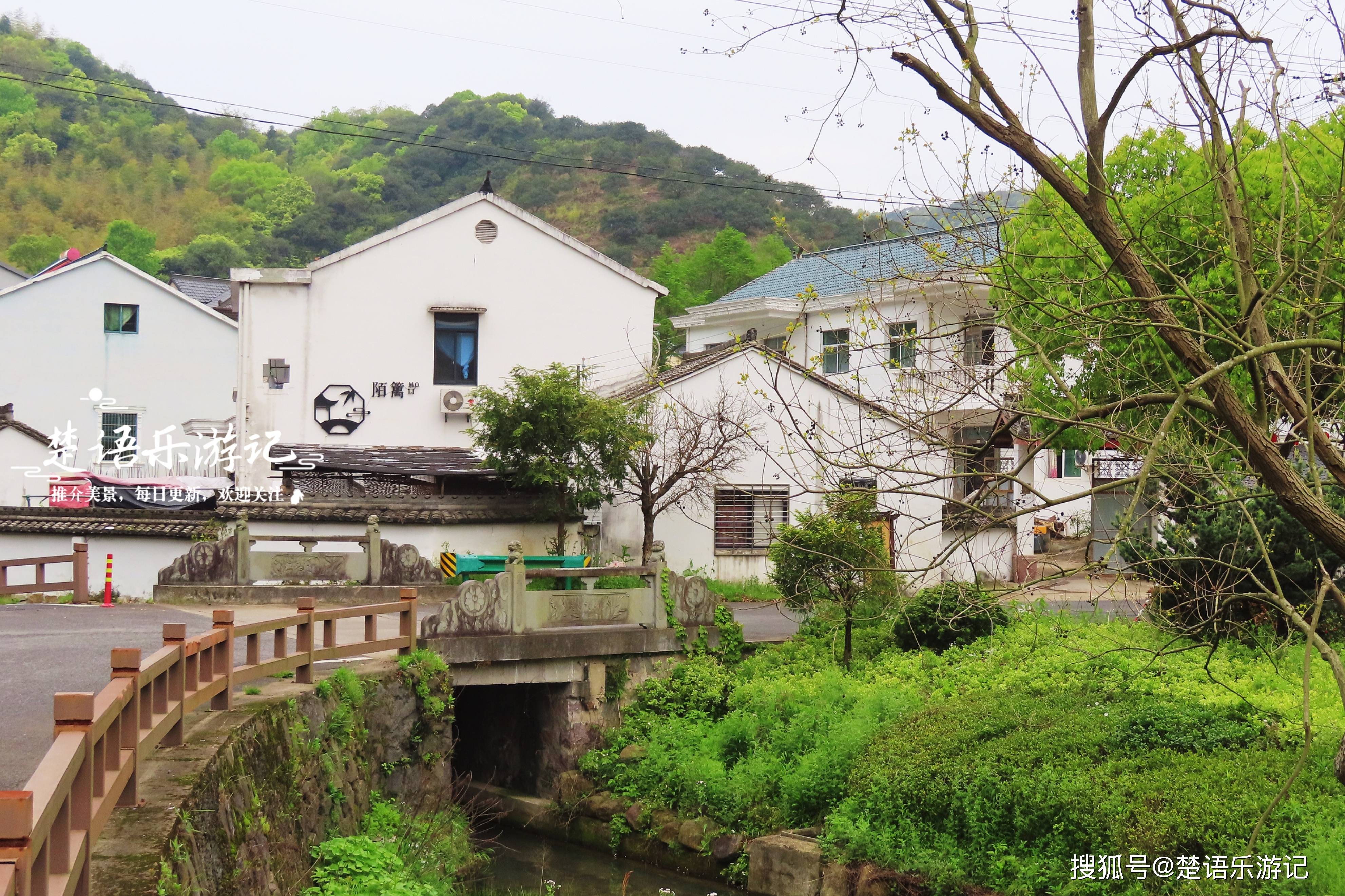 浙江宁波最早的旅游乡村，紫藤花也开了，多处景观成为网红打卡地