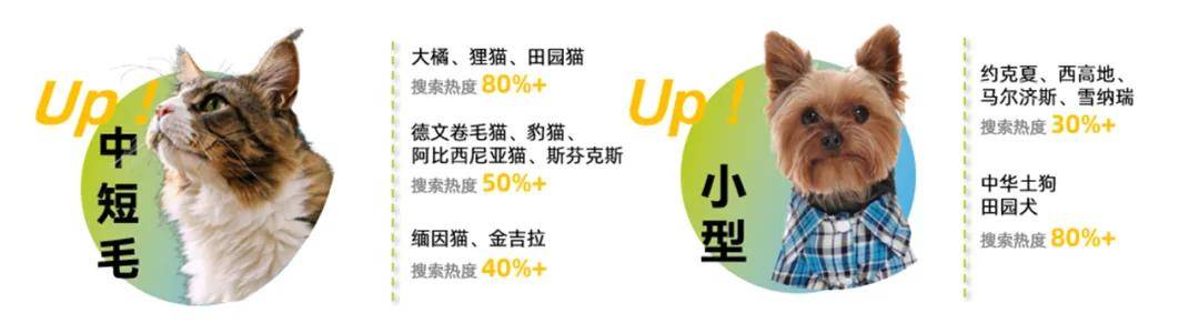 我国宠物行业现状概览