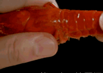 吃货小龙虾的秘诀，学会这套“技巧”，5秒剥一个，网友：涨知识