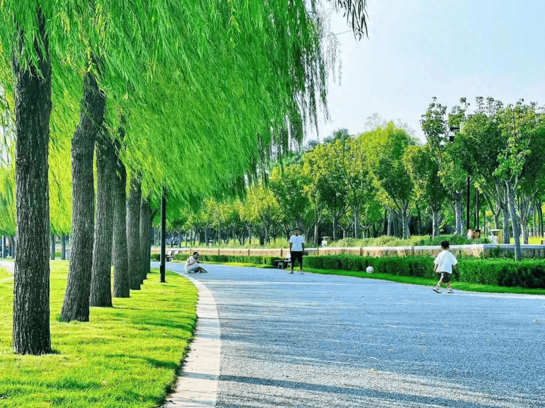 🌸橙柿互动【澳门今晚必中一肖一码准确9995】_今日起，北京外卖买药能刷医保了！这些城市也开通了