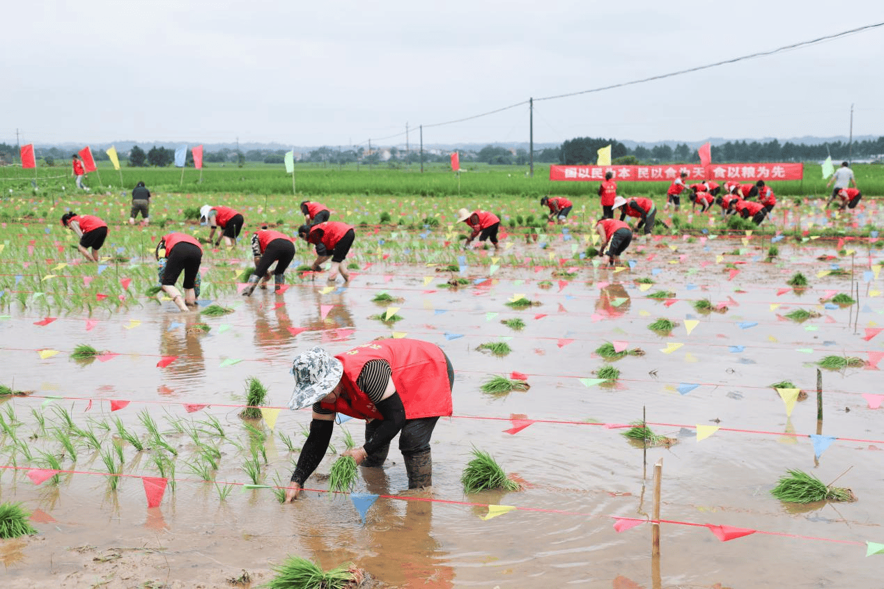 正义网 :澳门2024资料大全正版资料查询2-文化中国行 | 从“土”秘诀看中华农耕文明创造性转化