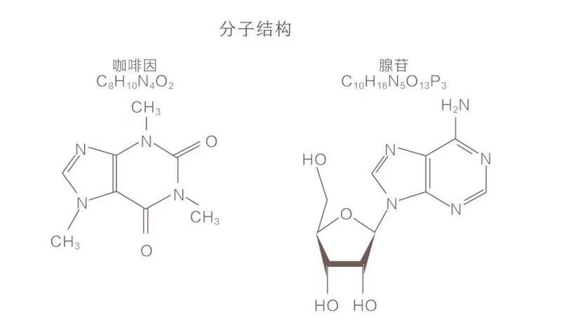 触电新闻🌸澳门今一必中一肖一码一肖🌸|中新健康丨蔡磊破冰再迈一步：斗志不减 继续努力  第6张