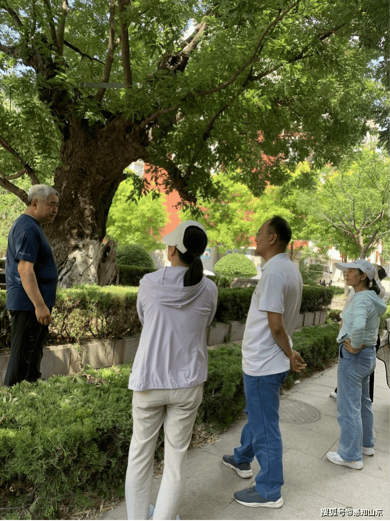 🌸光明日报【2024正版资料大全免费】_巴黎奥运会城市运动项目赛场——协和广场