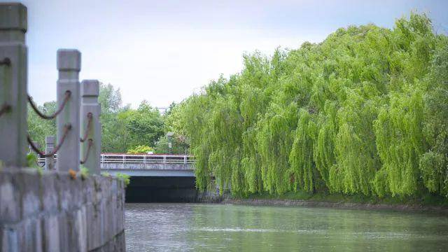 🌸中国旅游新闻网 【澳门一肖一码100准免费资料】_一线城市，火速下调！首套房贷利率有望进入“2”时代？  第2张