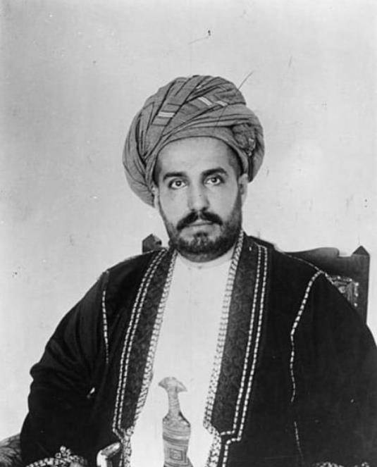 即占领了王宫，并在同一天下午任命亲英的哈穆德·本·穆罕默德为新苏丹。