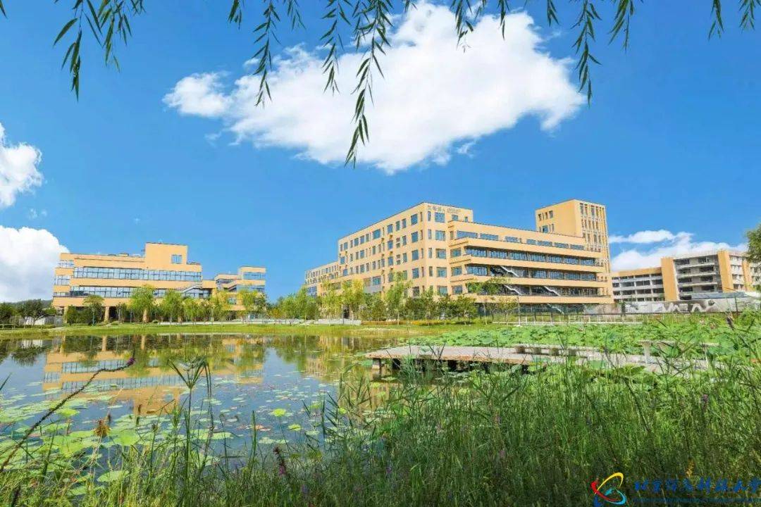 文章配图-2