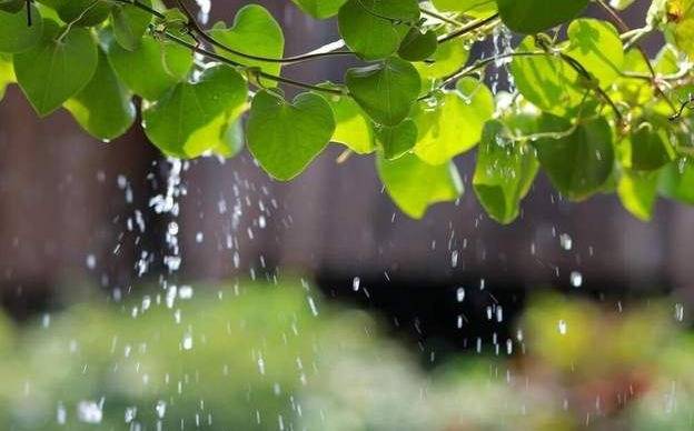 原创“出梅一声雷，梅雨去又回”，怎么理解，什么时候出梅时间定了？