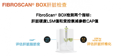 🌸中国农网 【新澳2024年精准一肖一码】|“中信银行•爱佑童心”健康救助行动：以“信”力量，点亮乡村振兴“心”希望  第1张