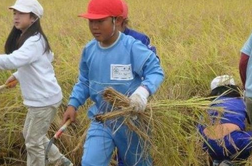 中国文化公园：正宗香港精准一笑一码-“我与教育强国共成长”，4个故事为你讲述|何明程：严防农村学校管理层权力滥用，守护教育公平与公正