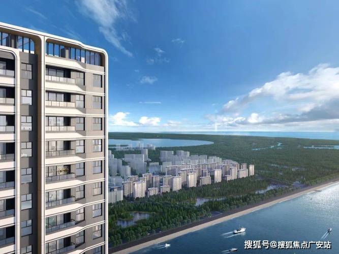 文章配图-6