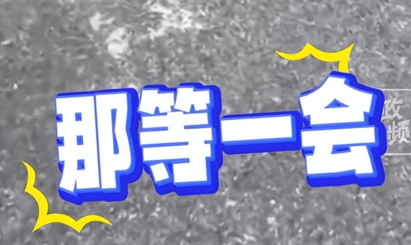 反转!女子遛狗尿轮胎上,被发现后拒绝清理,车主拿砖头砸狗泄愤-狗尿到车轮胎上算命