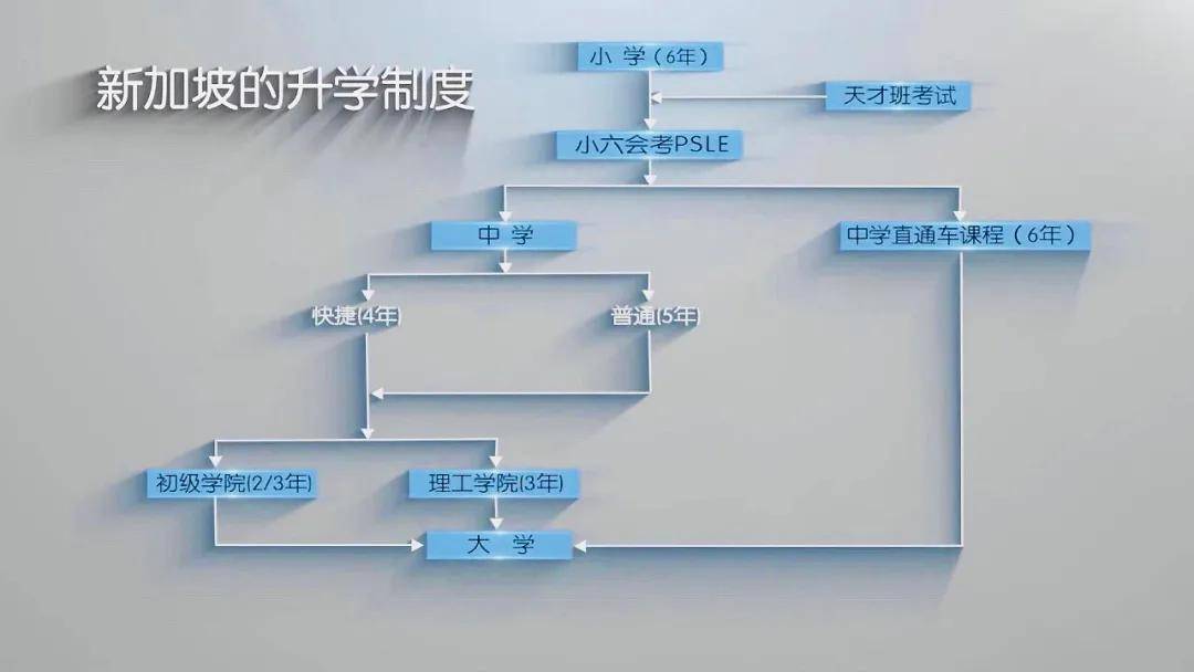 知道：澳门管家婆一肖一码100-发挥高校科技创新主力军和人才培养主阵地作用 不断夯实广东现代化建设教育科技人才基础