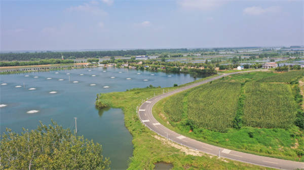 环洪泽湖公路打造“四好农村路” 建设新样板