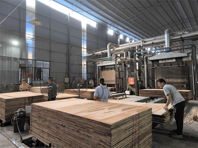 防潮小能手丨桥牌桉木多层板,轻松应对潮湿天气
