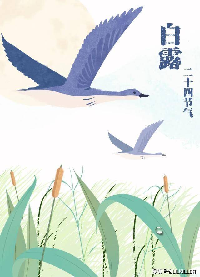 生肖龙，2024年白露节气：9月7日-9月22日综合运势分析！