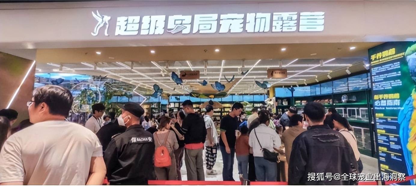 国产宠食品牌市占暴涨一企业推“黑神话”色彩宠物尿垫还有…双赢彩票平台(图10)