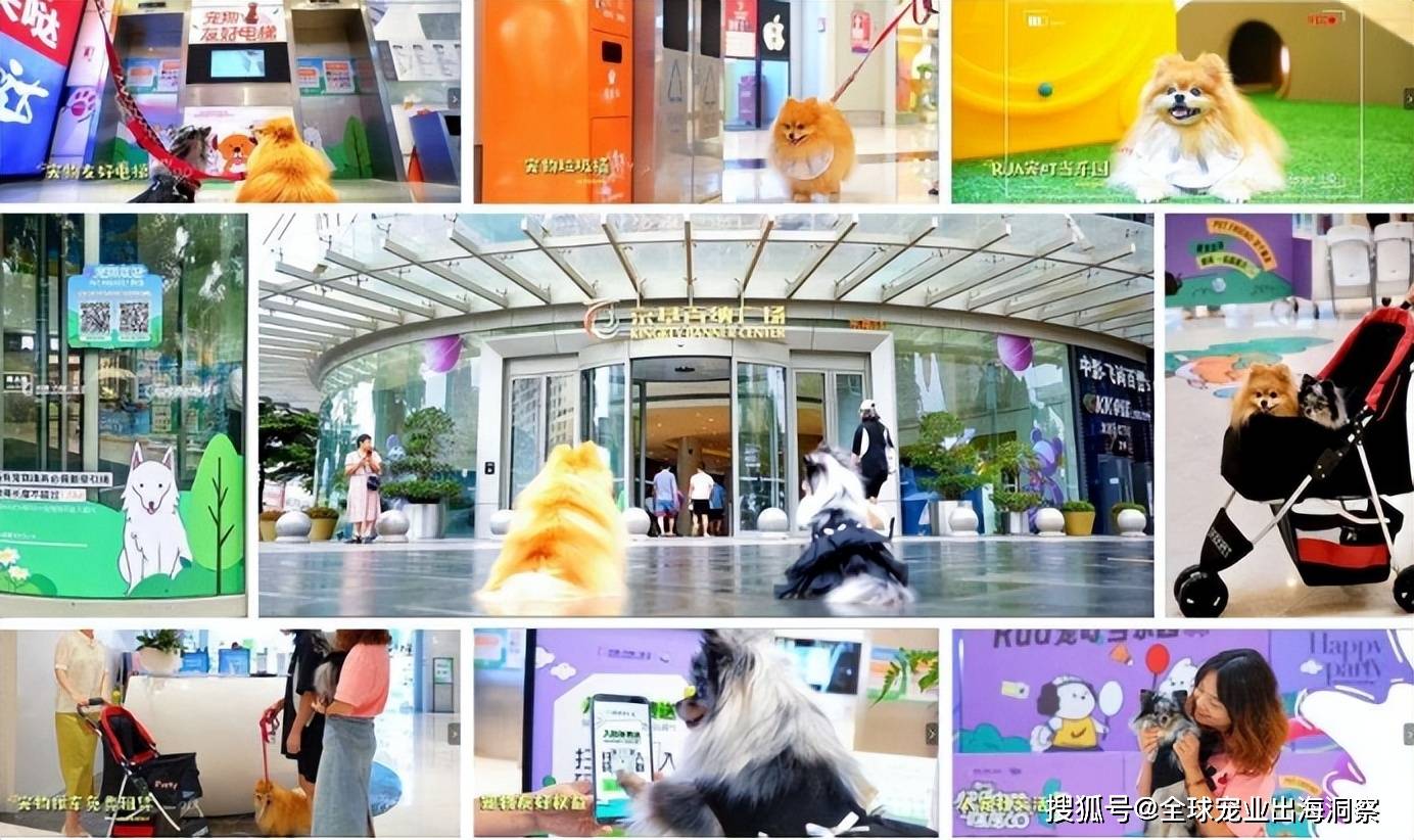 国产宠食品牌市占暴涨一企业推“黑神话”色彩宠物尿垫还有…双赢彩票平台(图5)