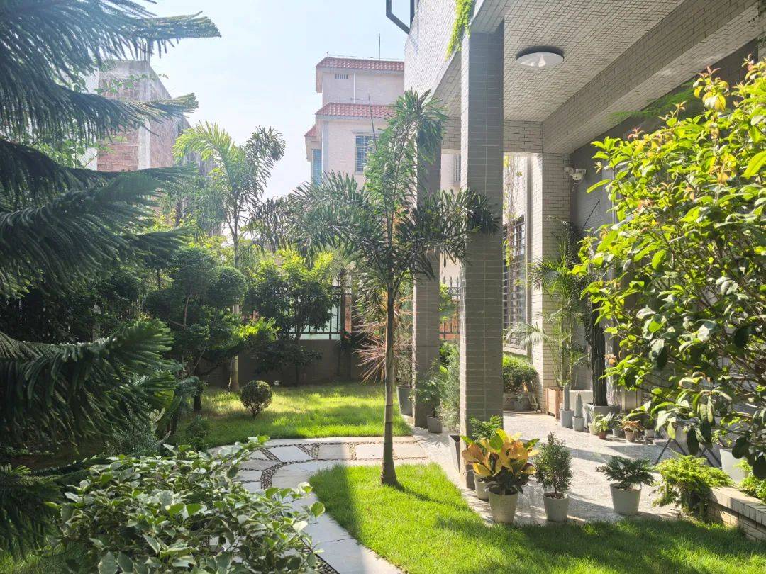 雷州附城镇：“美丽庭院”打造农村宜居宜业新环境