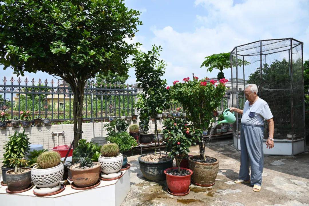 雷州附城镇：“美丽庭院”打造农村宜居宜业新环境