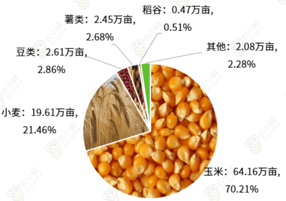 必赢网址北京市主要农作物种植情况概述(图3)