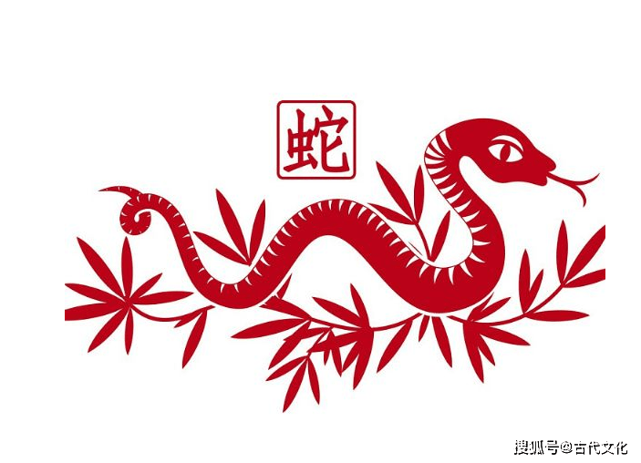 蛇生肖的时辰运势解析