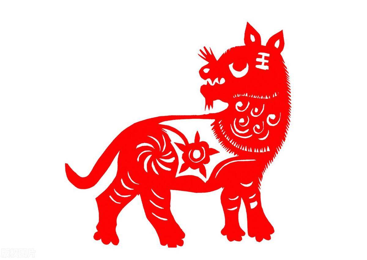 生肖狗2025年：再犯这“3个大忌”，上天会收走你的福分，别不信