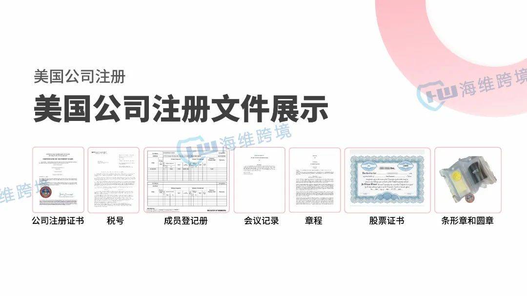 2024年四种不同类型的离岸公司怎么选？(图2)
