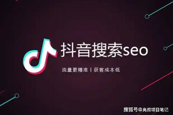 抖音SEO搜索流量课了解抖音SEO的底层逻辑