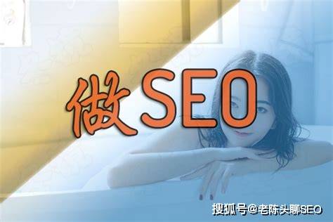 新手SEO入门指南，轻松掌握优化技巧与策略