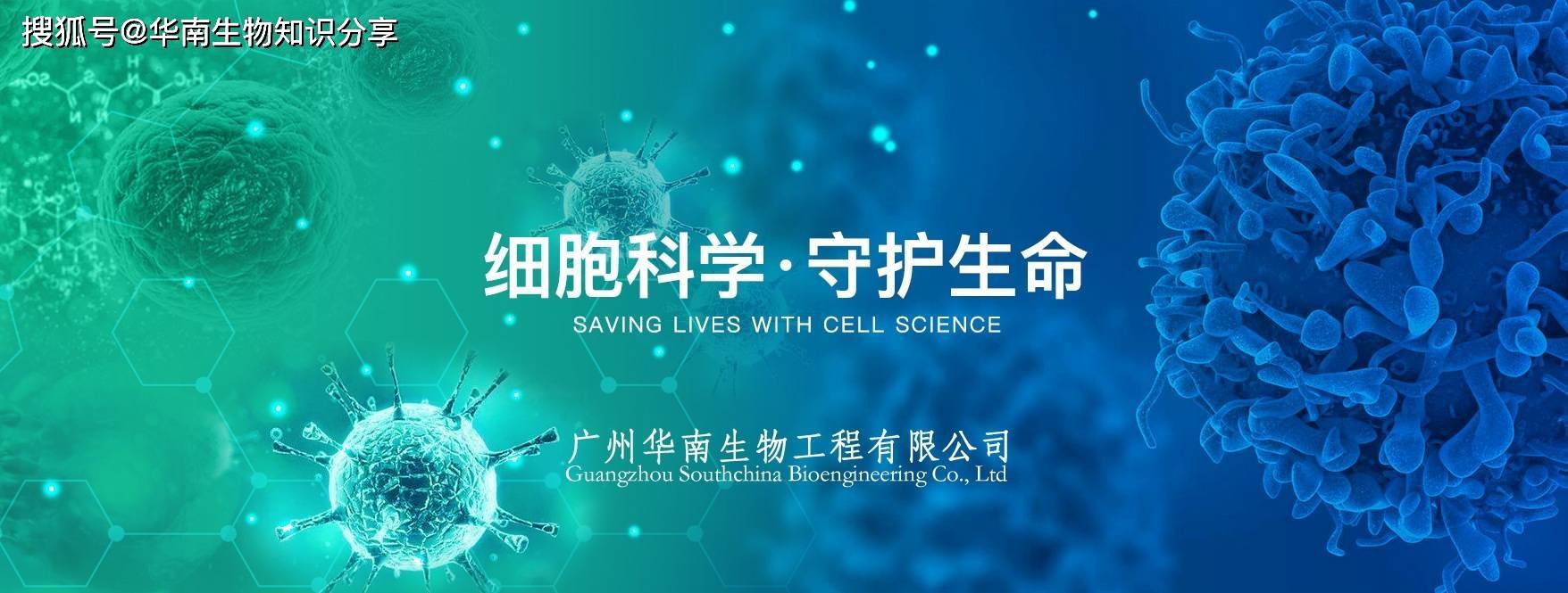 牛结节性皮肤病病毒核酸检测试剂盒