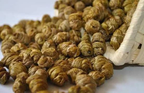 霍山石斛十大功效，让你从此爱上它！！