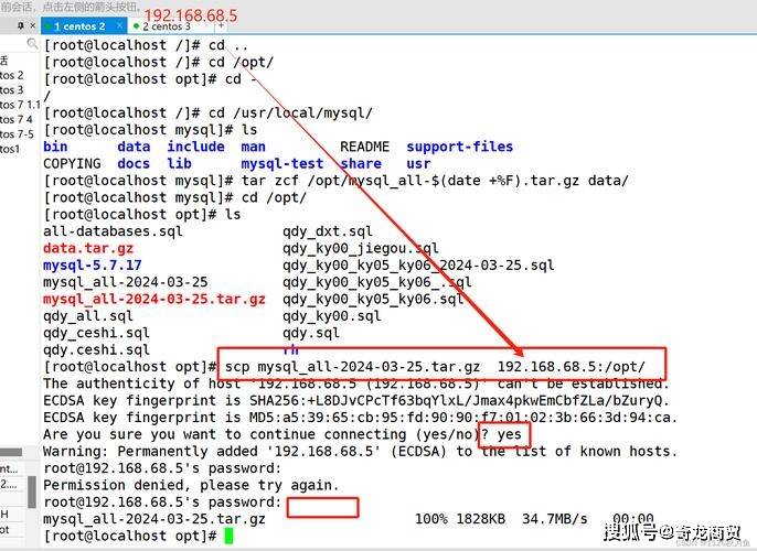 如何在CentOS上进行MySQL数据库的备份？  第1张