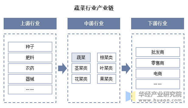 2025年中国蔬菜行业分类华体会官网情况相关政策及上游分析(图4)