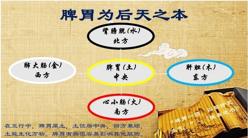 李盛青主任：脾胃寒湿、阳气不足，这个中成药，从根上补阳气，扫清脾胃里的湿和寒