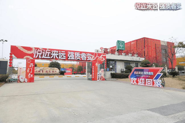 网络代理设置美国ip