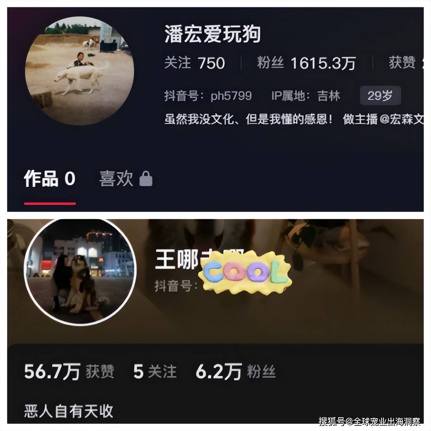 潘宏“塌方”名下宠物企业注销合作宠物品牌受牵连恒峰娱乐下载(图11)