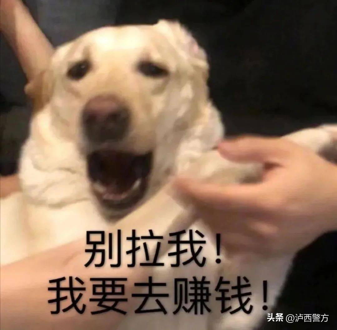 2025年全球Top加密货币交易所权威推荐虚拟货币投资能否造