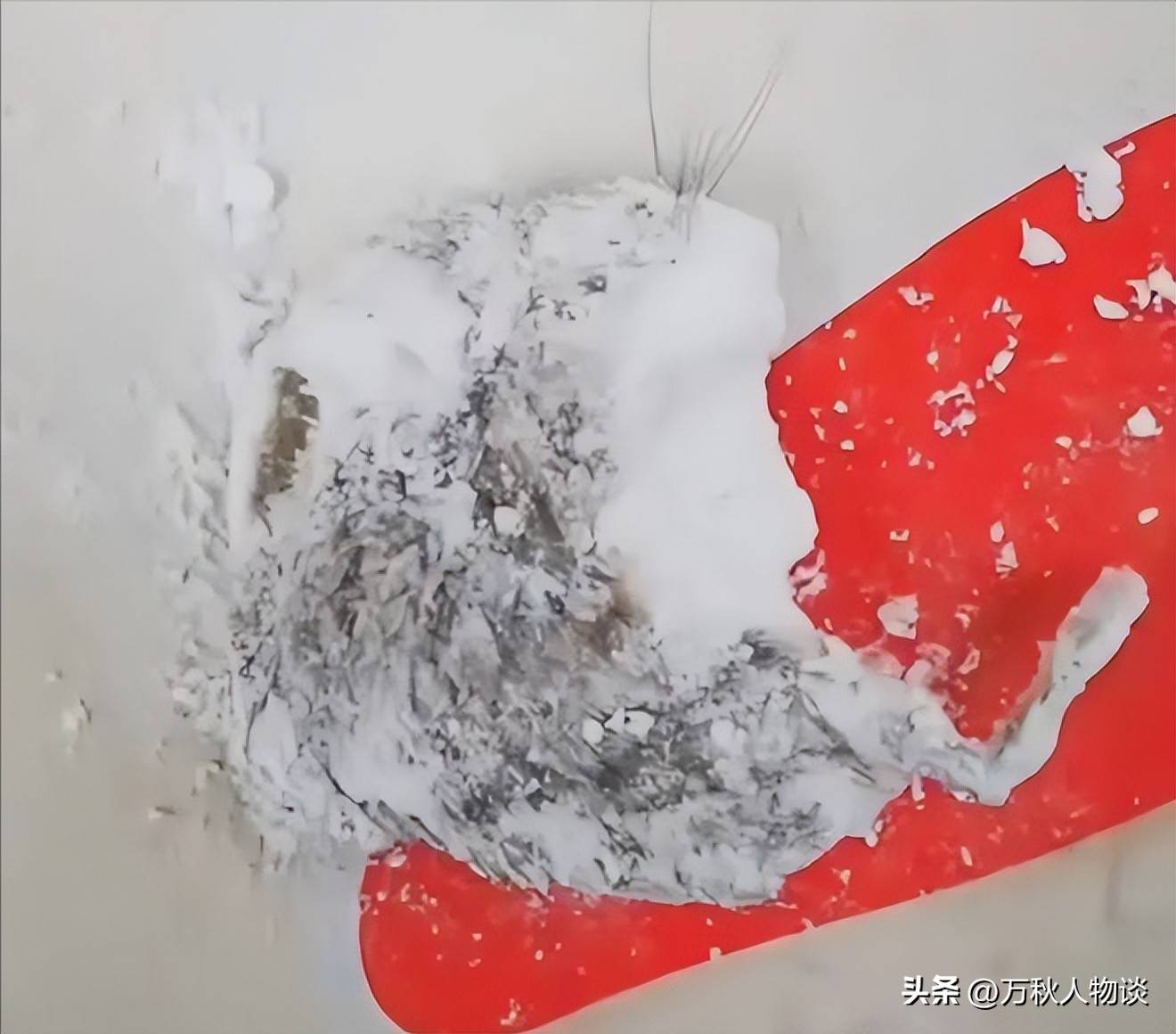 婴童面粉现死老鼠，商家操作引热议，市管局已介入调查