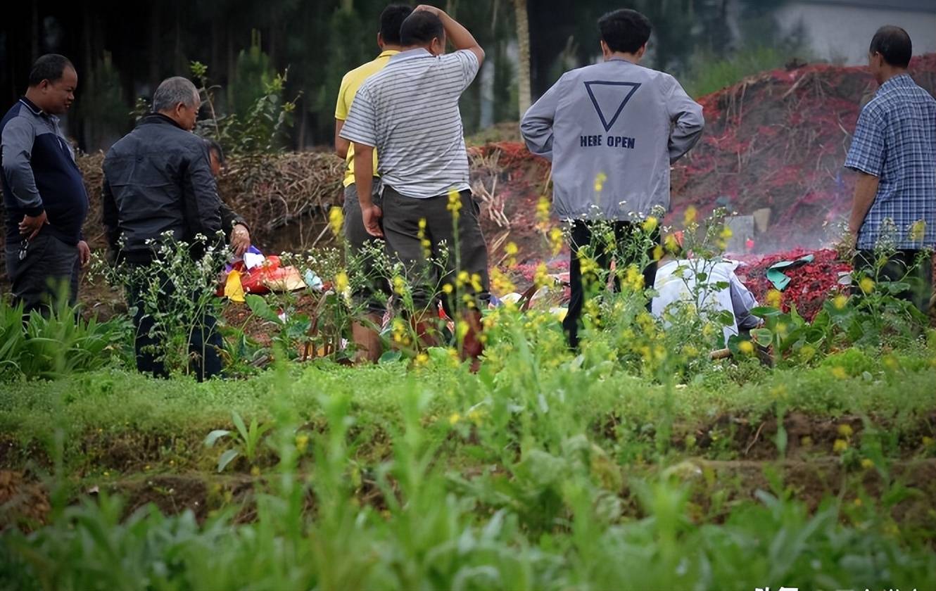 老祖宗告诫“上坟不能随便上，一代不祭三代坟”，清明扫墓要注意