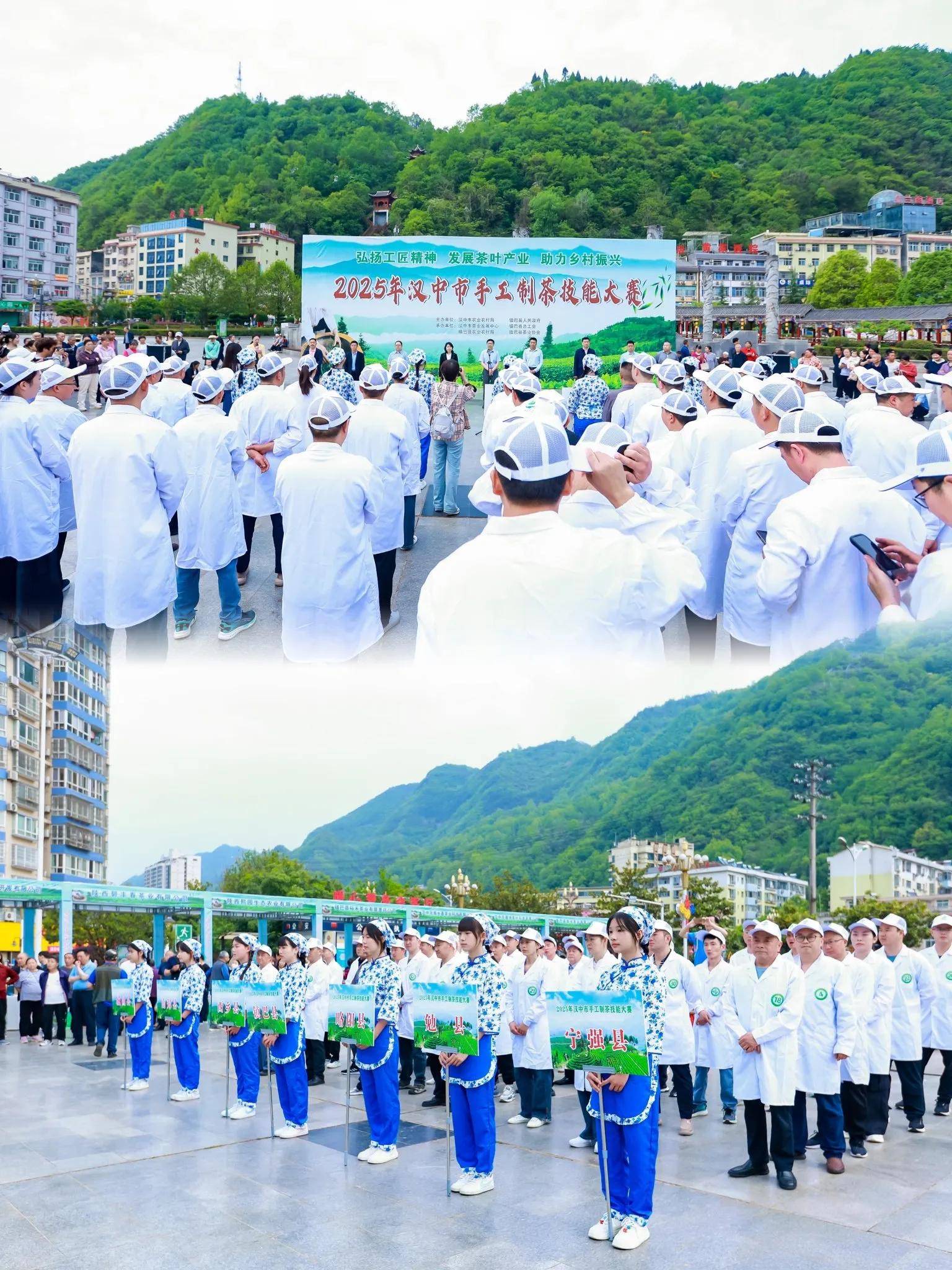 在镇巴见证一片茶雷火竞技app叶的匠心之旅(图7)