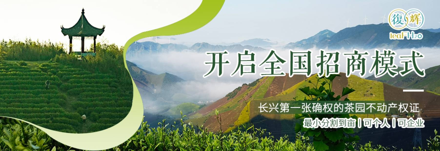 复辉：茶园行业机遇与挑战并存（一）雷火竞技入口(图3)